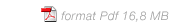 format Pdf 16,8 MB